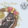 Pnc Australia Post | 2021 Stamp And Coin Cover - Dreaming Down Under Tasmanian Devil