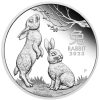 Perth Mint Perth Mint | Year Of The Rabbit 2023 1Oz Silver Proof