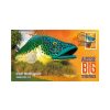 Pnc Royal Australian Mint | Australia Post | Royal Australian Mint Aussie Big Things The Giant Murray Cod 2023 Pnc