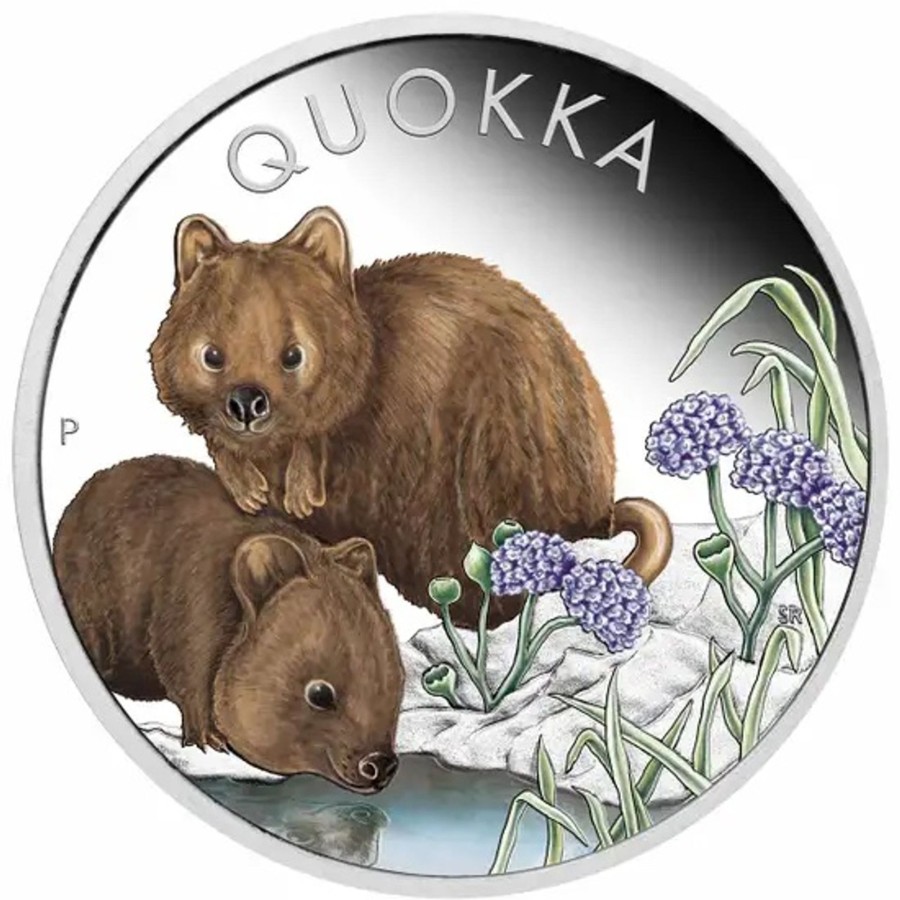 Perth Mint Perth Mint | Perth Mint Quokka 1 Oz 99.99% 2023 Silver Proof Coloured Coin