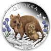 Perth Mint Perth Mint | Quokka 2022 1Oz Silver Proof Coloured Coin