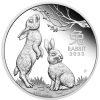 Perth Mint Perth Mint | Year Of The Rabbit 2023 1/2Oz Silver Proof