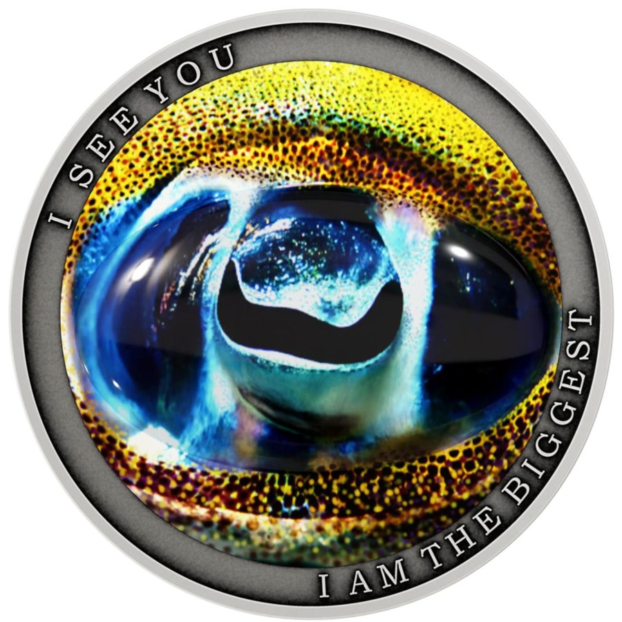 World Coins Lithuanian Mint | 2022 Niue $1 Silver Antique Coin - I See You - I Am The Biggest - The Bigfin Reef Squid