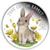 Perth Mint Perth Mint | Baby Rabbit 2023 1/2Oz Silver Proof Coin